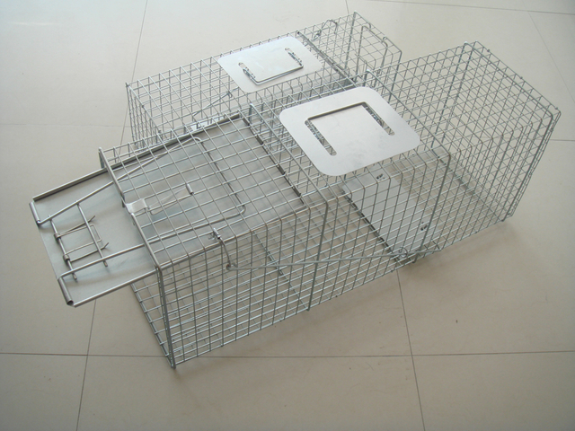 Dog Metal Cage And Fence Pen